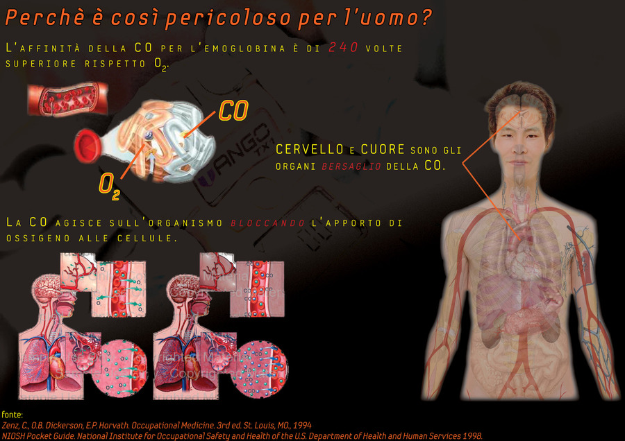 Servizio Guardian Il monossido di carbonio un killer silenzioso Servizio Guardian Il monossido di carbonio un killer silenzioso